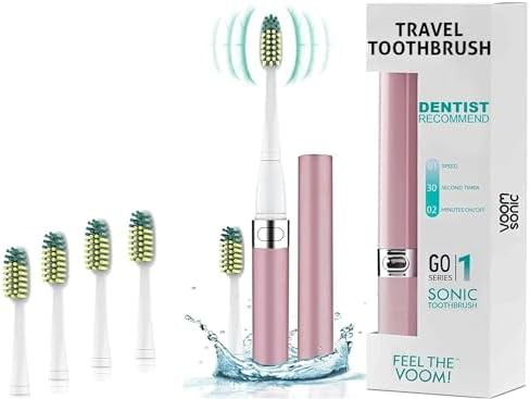 Travel sonic toothbrush with four brush heads
