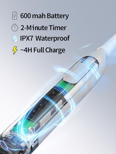 Rotating round head toothbrush for sensitivity — photo 5