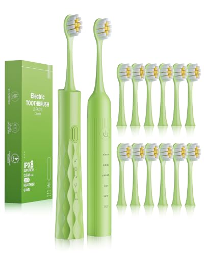 2 Pack Electric Toothbrush for Adults